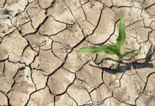 Η κλιματική αλλαγή πλήττει ιδιαίτερα τη Μεσόγειο, επισημαίνουν επιστήμονες