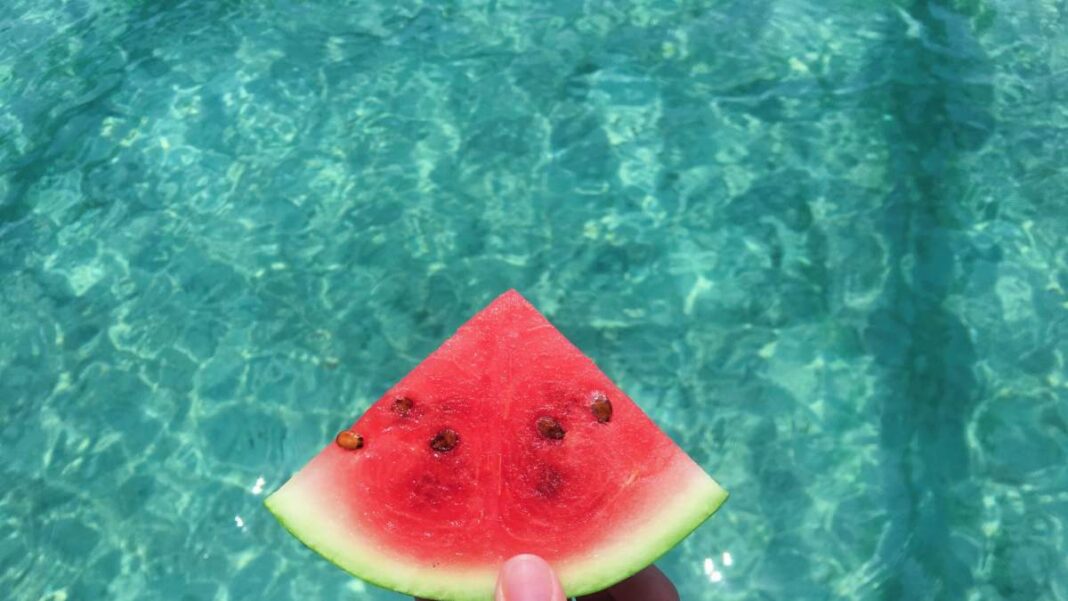 344651-pexels-photo-2403850